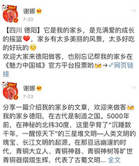 谢娜只是为家乡发了条微博,却被网友骂得狗血淋头