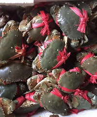 美味的海鲜,你想吗?