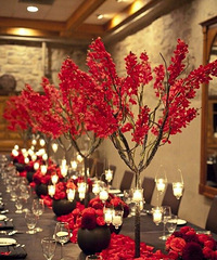 ��ο�������������ֳ�����ֵ����