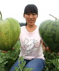 �ӱ������ֳ����Ρ��������ϡ� һ�����ϰ�Ԫ