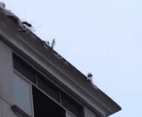 �㽭һ����3���µ�δ���������¥��ֻ�����Ѽ��ﲻͬ����£�