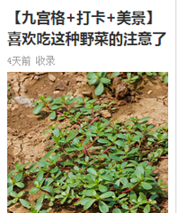 【8月有奖活动】每日来打卡 话费、体重计都领走!