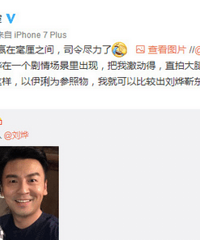 马伊琍集邮娱乐圈“三大巨头”:刘烨靳东雷佳音