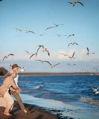 �ⲻ���⣿ˢ������Ȧ�����������գ���Ȼ�ǰ��ģ�