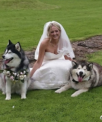 ��ֻ����˹����������İ��ɺͰ���� �е���