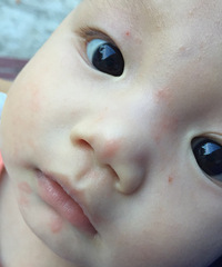 6����С������һС���㽶 5���Ӻ����Ͼͷ�����