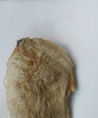 �²���Ҫ���