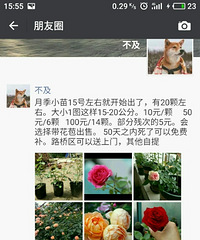 �¼�Ǥ��С���������15������