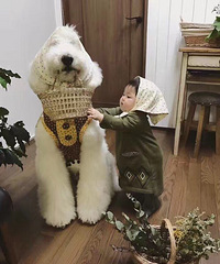 ���������㱦��һ�𳤴�