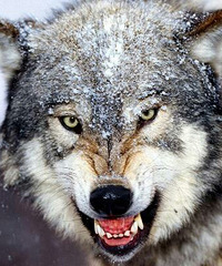 ���ߣ���Ҳ:���ߣ�˳Ҳ:����Ϊ��ɳɴ���