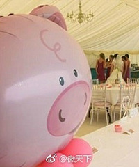 ���ɻ�12������������ 50ͷ�������������