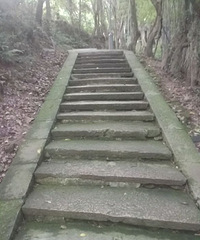 �����ã�δ��Ů�ѻ�ϲ��