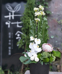 淡雅小清新范儿的商业花礼~