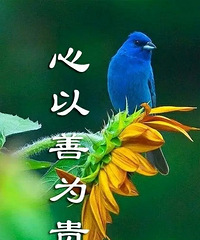 心平气和