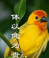 心平气和