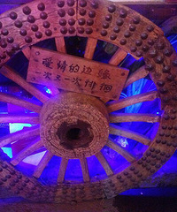 �Ȳ������ͣ��Բ�Ը����