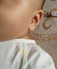 �������ϳ�һ�ſŵ�