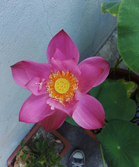 �ջ�ļ��ڵ���