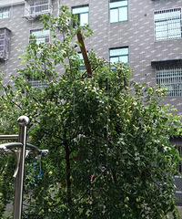 ��Υ�ı�����¶�ʴ�