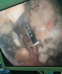 8��Ů�����̵�أ�������������ӡ��ȷ���ˮ�����������