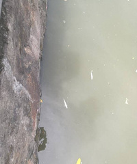上塘河被污染,水面浮着一层油,鱼都死光了