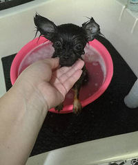 ��˿��ʺ��¼