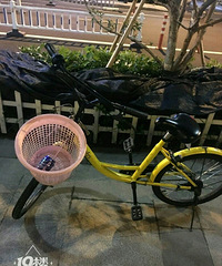 还以为小黄车在杭州推出ofo淑女车 走进一看 蛤?