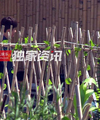 独家:“小可爱”郑爽来袭!搭档罗晋演乡村戏