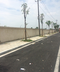 丁桥新城公共车位取消后,找不到停车地方了