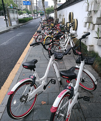 建国北路文晖路口,盲道都被共享单车占领了