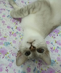 ���Ѿ������������ˡ�