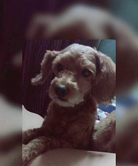 ���˿����˻�����뼰ʱ�빷������ϵ��лл��