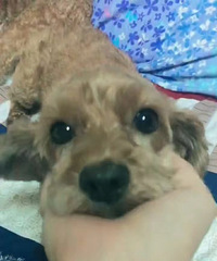���˿����˻�����뼰ʱ�빷������ϵ��лл��