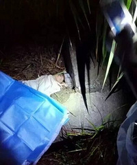 ŮӤ���Ӳݴ����ࣺ���边�Ǹ�12�꺢��