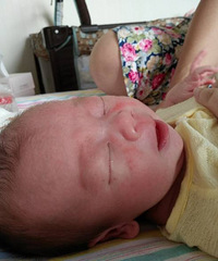 ���ϳ������� �������������� һ�޾ͺ��������