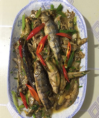 好吃好住好玩