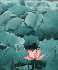 ���������ǣ����ǲ�������