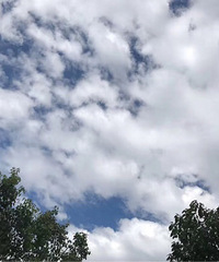 【九张图】打卡+美景