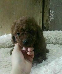 С̩�Ϲ�������һ�룬����500