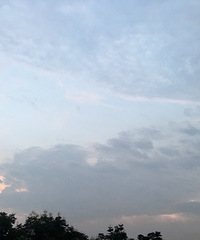 【九张图】打卡+美景