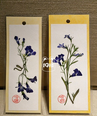 爱阅读之人怎能没有压花书签呢?
