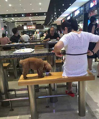 一对男女用公共餐具喂狗喝奶茶