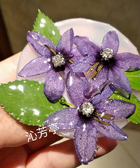 七夕之花