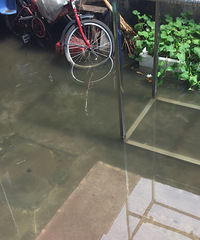 下雨天小区里就水漫金山,最担心老人孩子摔倒