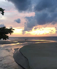 【九张图】打卡+美景