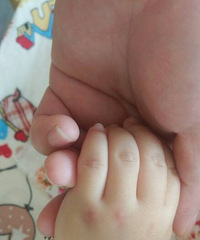 ����һֻ�ֱ��ϳ���4���� ��������ڲ���