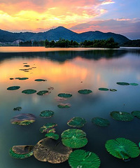 湘湖景摄