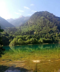 �¸����һ���ϰ�