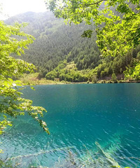 �¸����һ���ϰ�