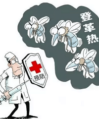 【福利】进入登革热高发季不要怕!回帖免费送防蚊香囊!